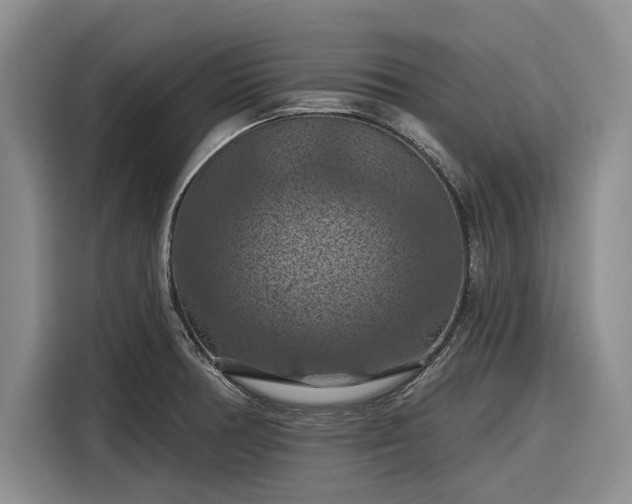 X0000116281378200912071141