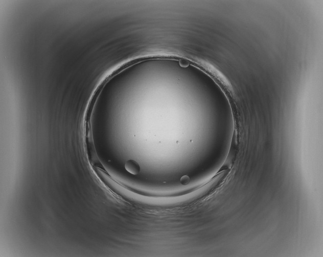 X0000116281380200912071141