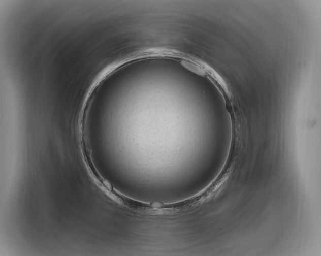 X0000116281381200912071141