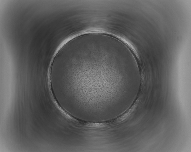 X0000116281382200912071141
