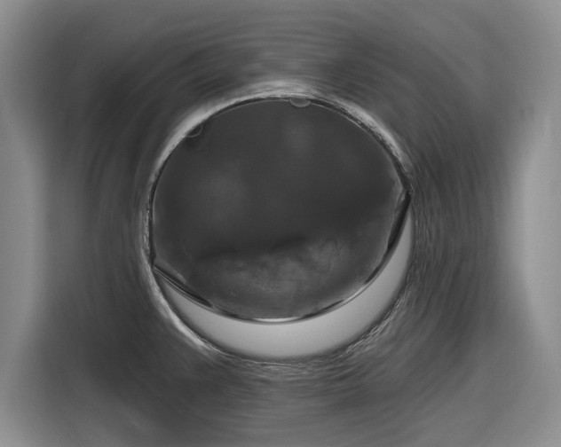 X0000116281383200912071141