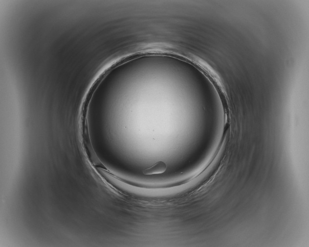 X0000116281384200912071141