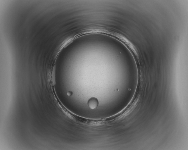X0000116281385200912071141