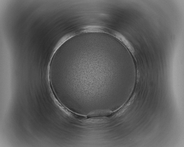 X0000116281386200912071141