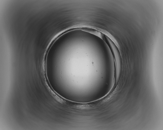 X0000116281388200912071141