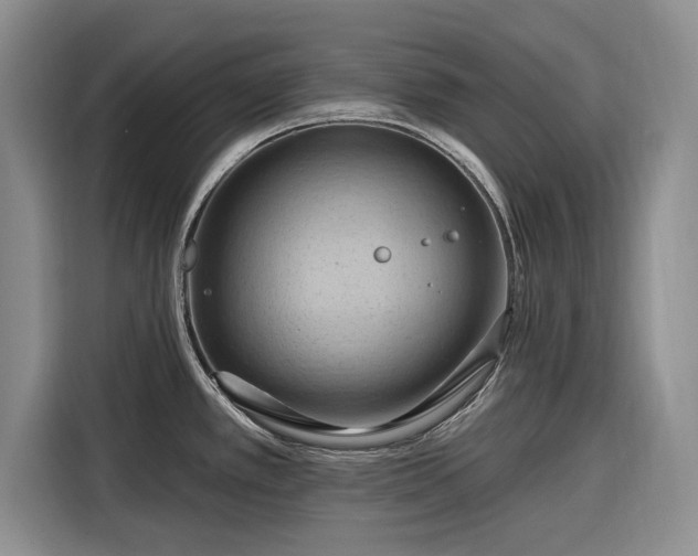 X0000116281389200912071141