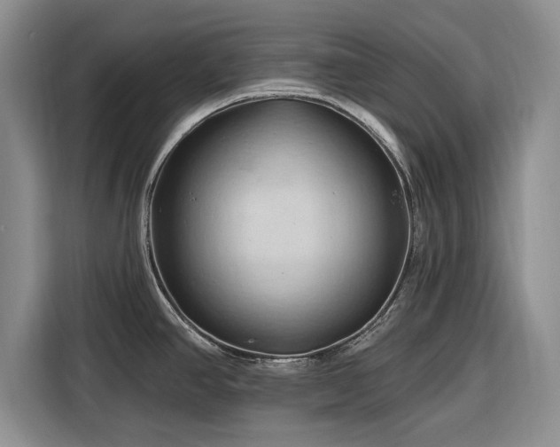 X0000116281390200912071141
