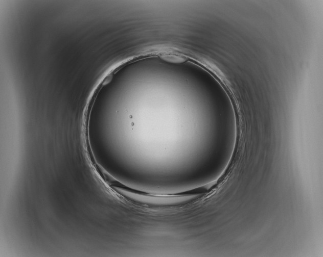 X0000116281392200912071141