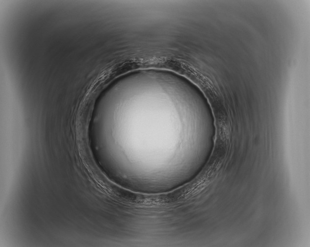 X0000116281393200912071141