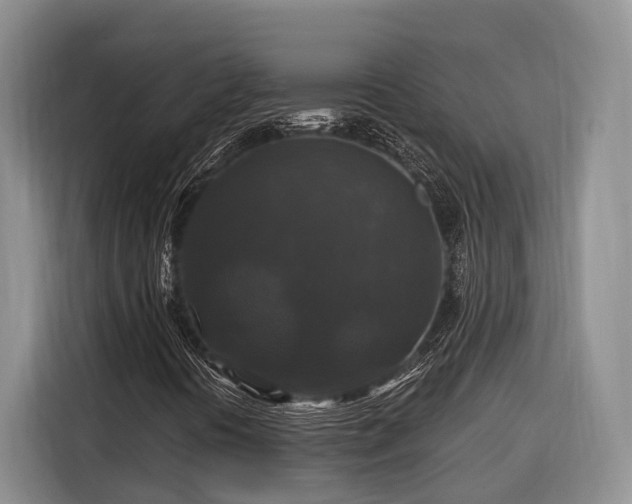 X0000116281394200912071141