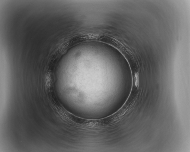 X0000116281395200912071141