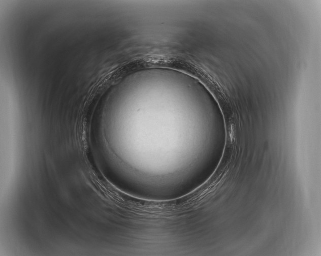 X0000116281396200912071141