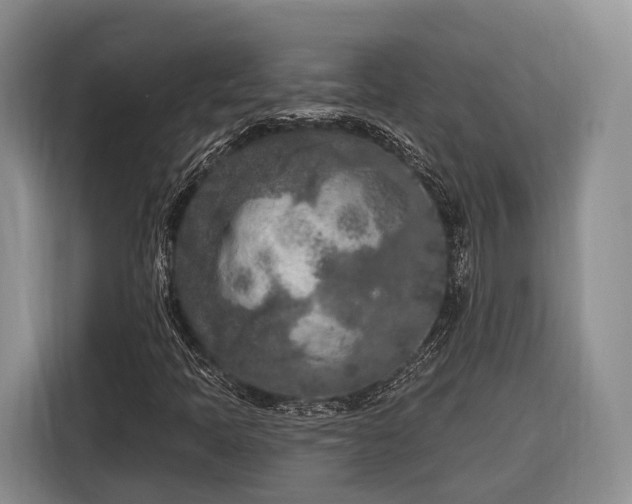 X0000116281397200912071141