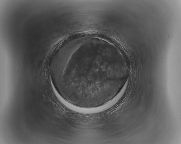 X0000116281398200912071141