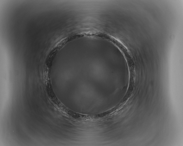 X0000116281399200912071141