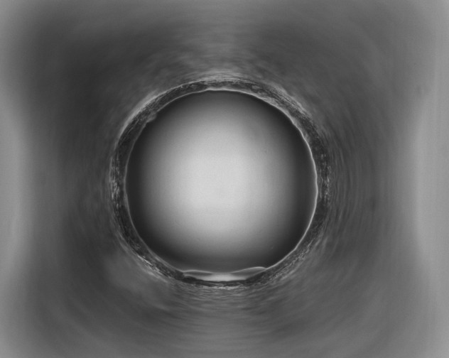 X0000116281400200912071141