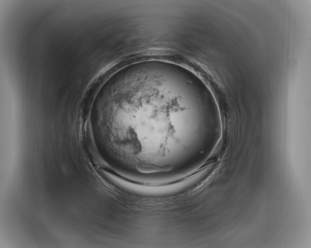 X0000116281402200912071141