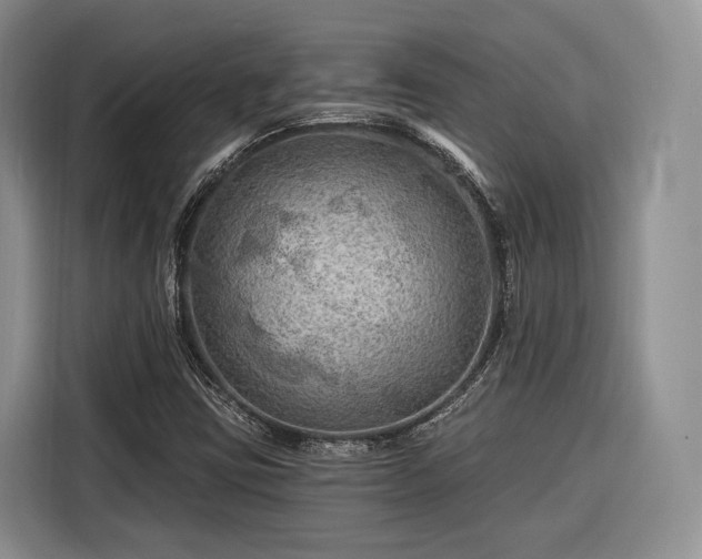 X0000116281403200912071141