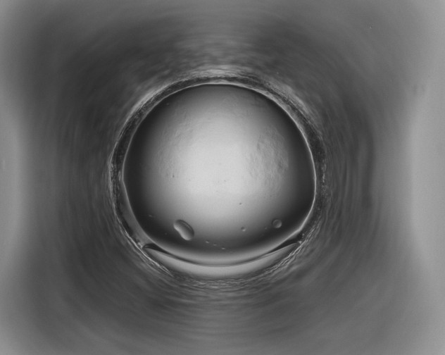 X0000116281404200912071141