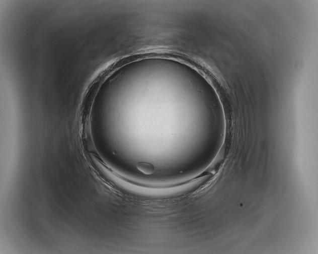 X0000116281406200912071141
