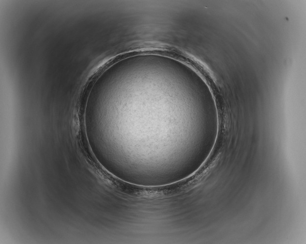 X0000116281407200912071141