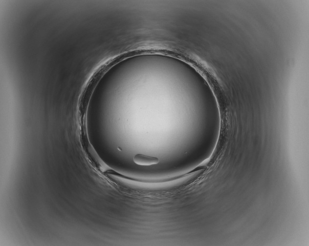 X0000116281408200912071141