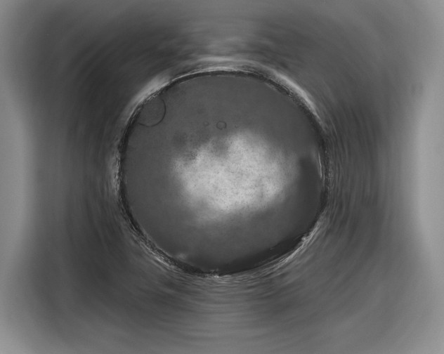 X0000116281411200912071141