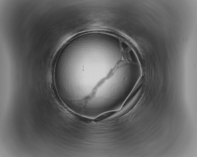X0000116281415200912071141