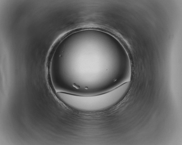 X0000116281416200912071141