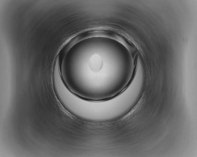 X0000116281417200912071141
