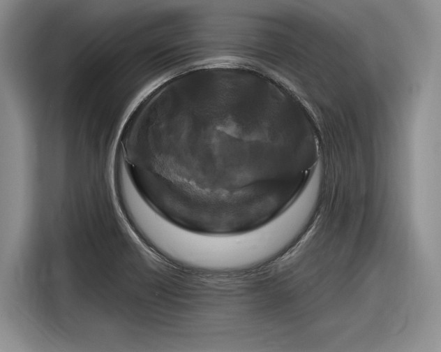 X0000116281418200912071141