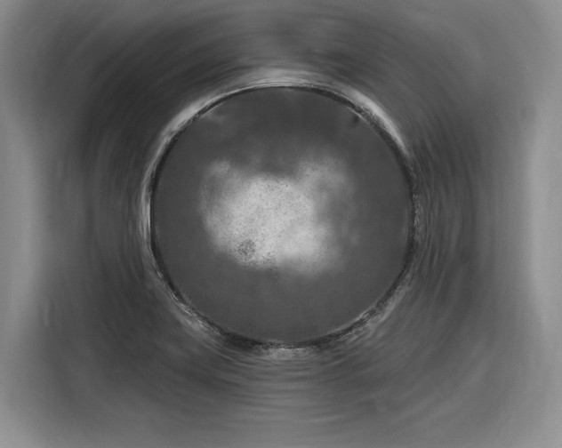 X0000116281419200912071141