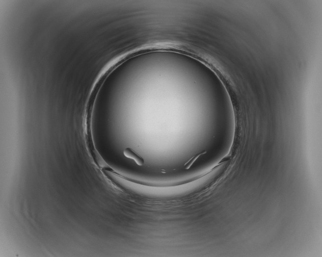 X0000116281420200912071141