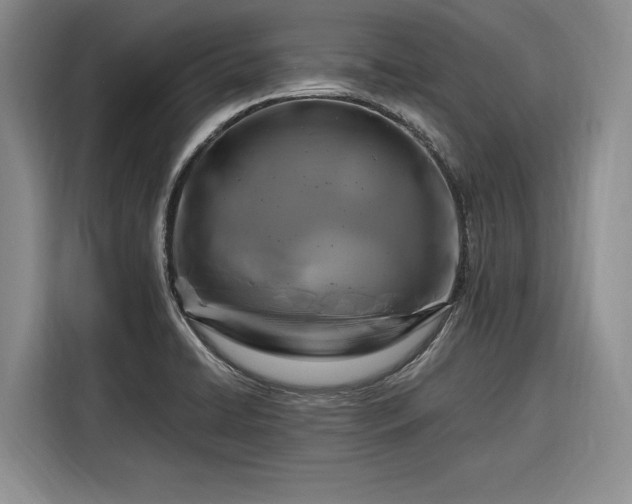 X0000116281422200912071141