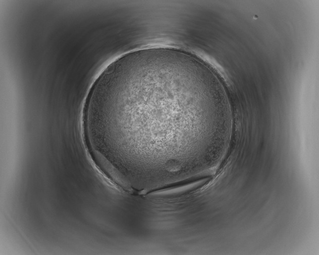 X0000116281423200912071141