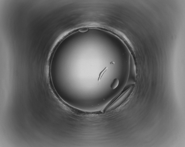 X0000116281424200912071141