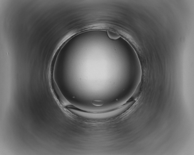 X0000116281426200912071141