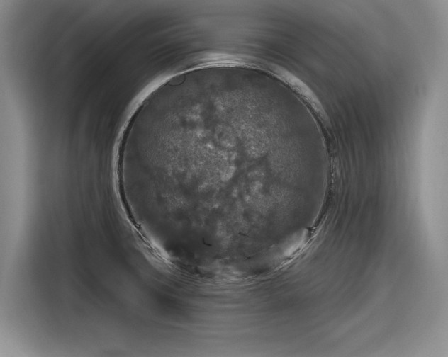 X0000116281427200912071141