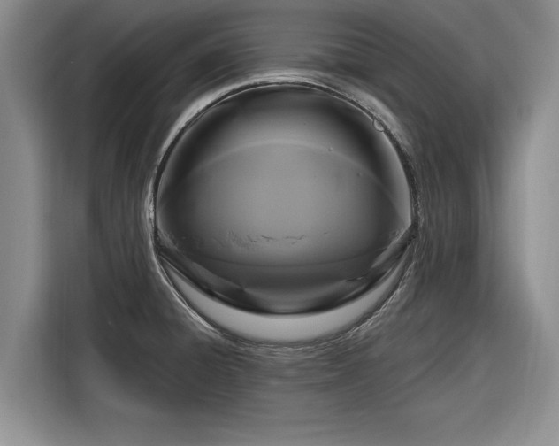 X0000116281428200912071141