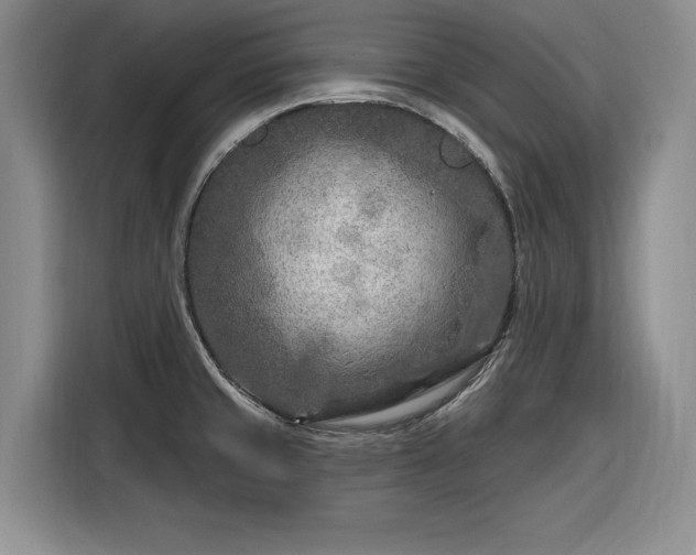 X0000116281429200912071141