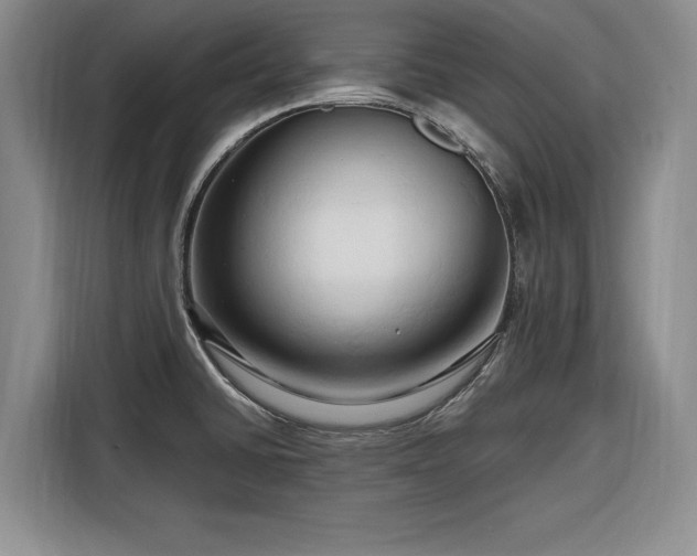 X0000116281430200912071141