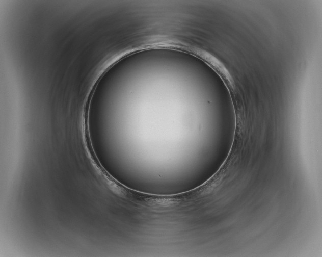 X0000116281431200912071141