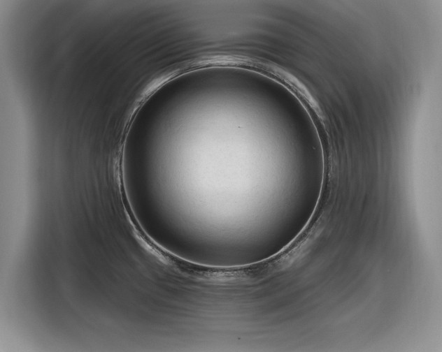 X0000116281433200912071141