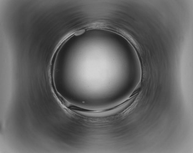 X0000116281434200912071141