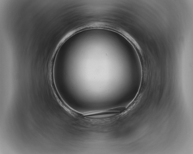 X0000116281437200912071141