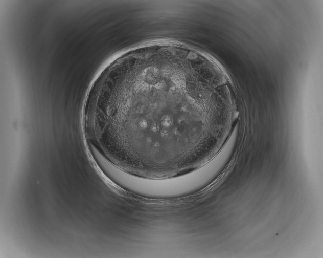 X0000116281438200912071141