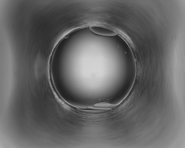 X0000116281439200912071141