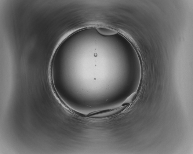 X0000116281440200912071141
