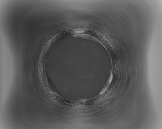 X0000116281441200912071141