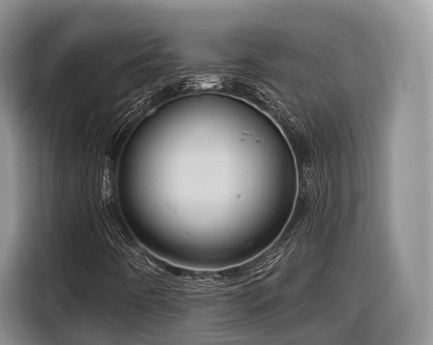 X0000116281442200912071141